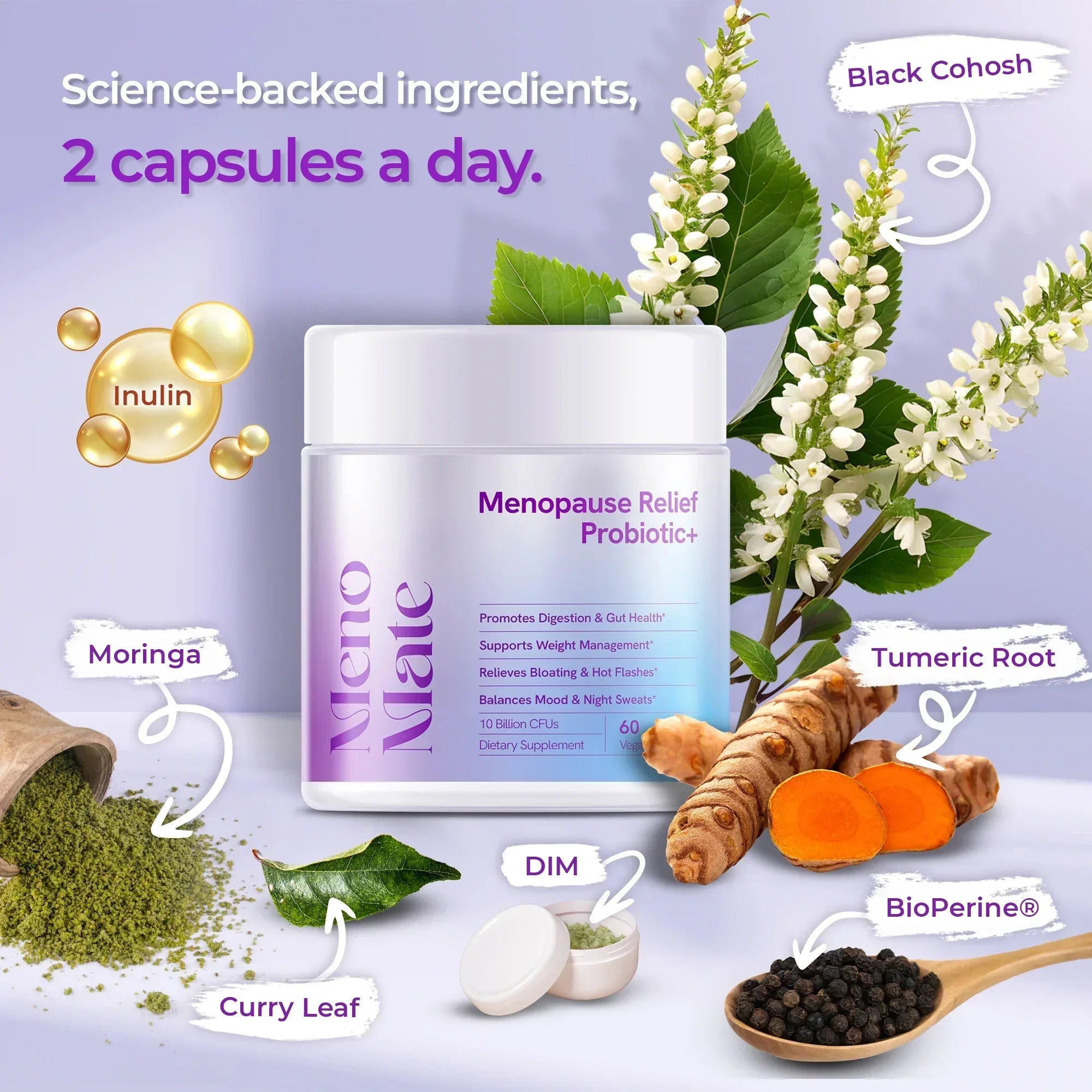 Menopause relief probiotic supplement with ingredients and health benefits on a purple background