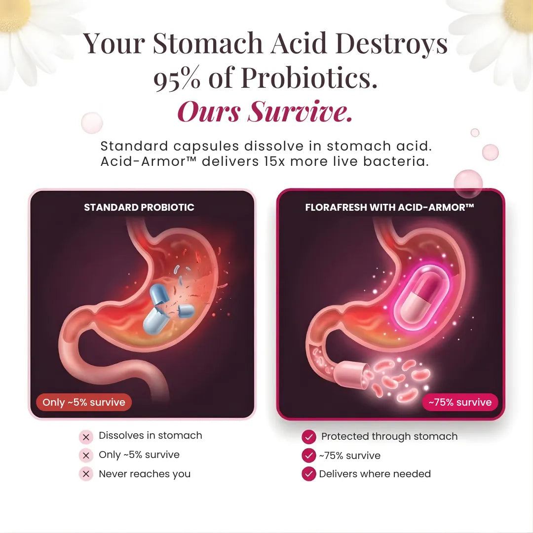 Comparison of standard probiotic and FloraFresh with Acid-Armor in a stomach, highlighting the latter's superior survival rate.