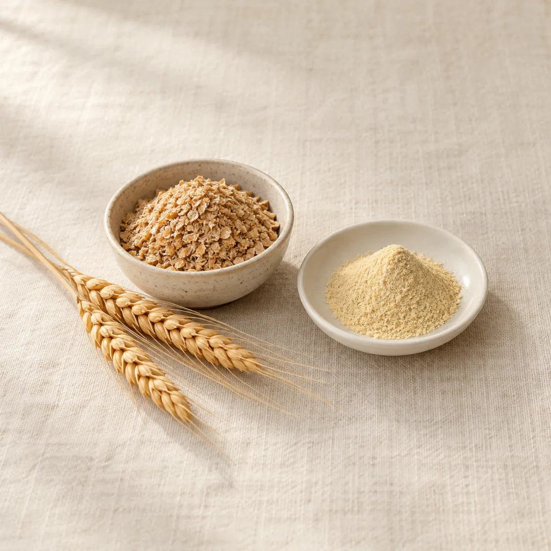 Spermidine: golden powder in a small dish beside wheat germ and wheat ears (illustration)